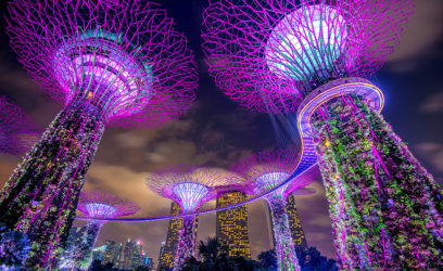 Top 10 best activities to do in Singapore